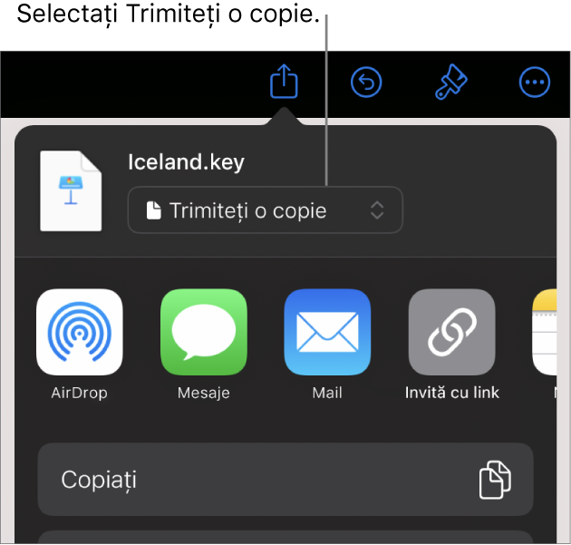 Meniul Partajează, cu opțiunea Trimite o copie selectată în partea de sus.