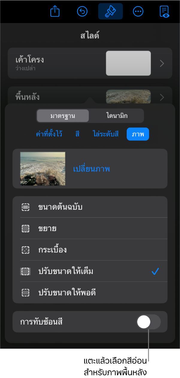 ตัวควบคุมพื้นหลัง โดยที่ภาพถูกตั้งค่าเป็นพื้นหลังของสไลด์ และตัวควบคุมการทับซ้อนสีอยู่ด้านล่างสุด