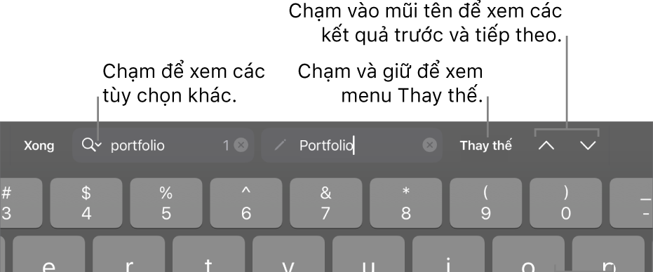 Các điều khiển Tìm & Thay thế bên trên bàn phím với chú thích đến các nút Tùy chọn tìm kiếm, Thay thế, Đi lên và Đi xuống.