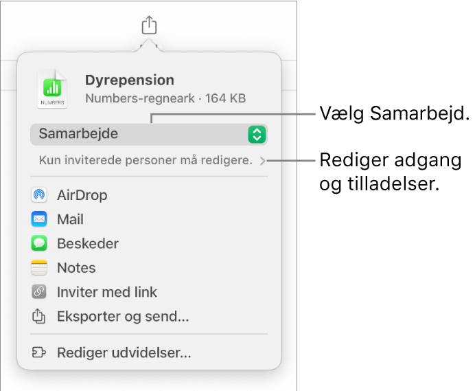 Menuen Del med Samarbejde valgt øverst og adgangs- samt tilladelsesindstillinger nedenunder.