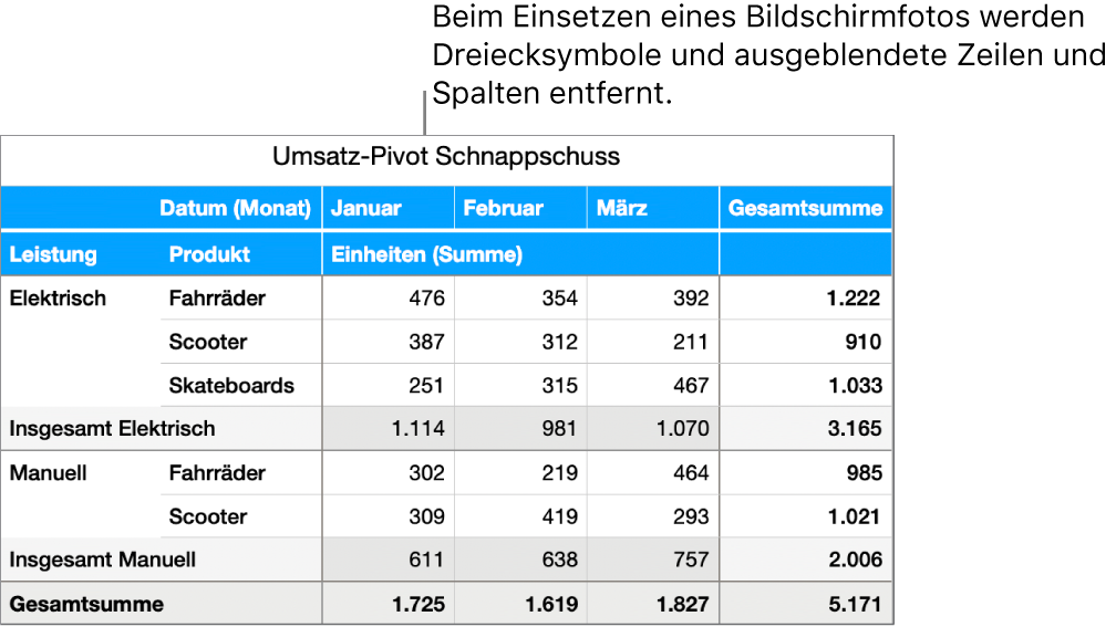 Schnappschuss einer Pivot-Tabelle