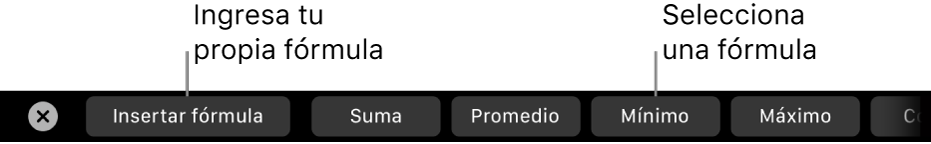 La Touch Bar de la MacBook Pro con controles para insertar tu propia fórmula y para seleccionar una fórmula utilizada comúnmente.