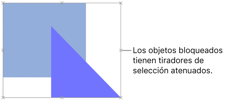 Objetos bloqueados con tiradores de selección atenuados.