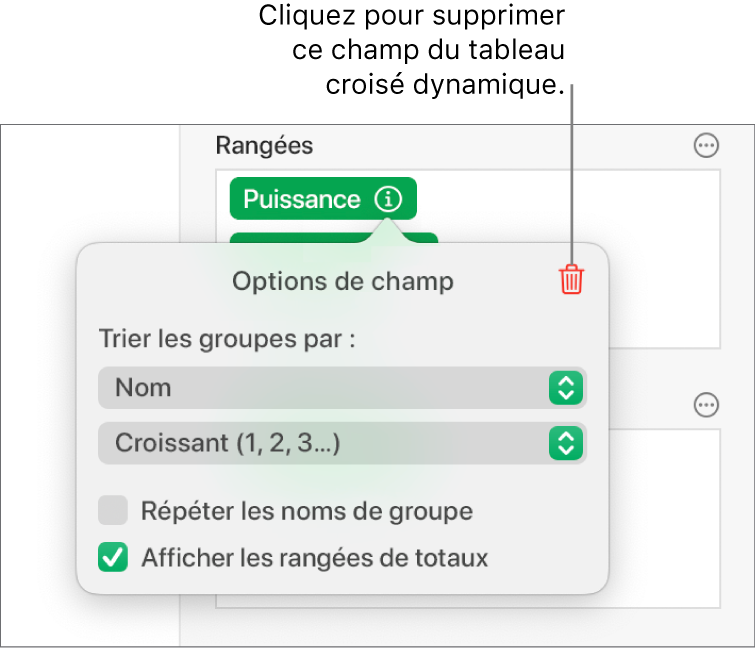 Menu Options de champ avec commandes de regroupement et de tri des données, ainsi que l’option de suppression de champ.