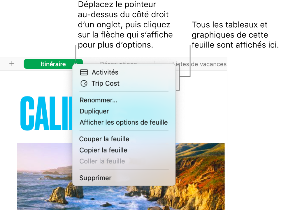 Un onglet d’une feuille de calcul avec le menu contextuel ouvert affichant des options, notamment Dupliquer.