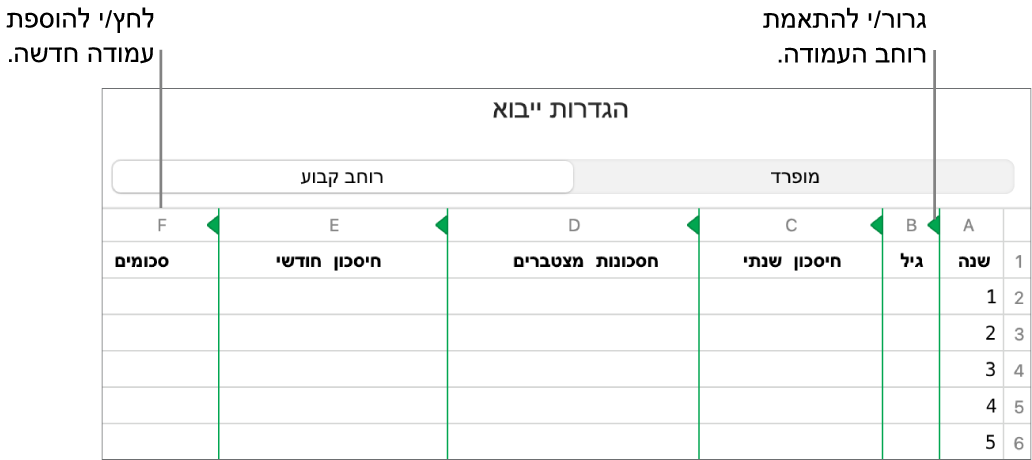 הגדרות הייבוא עבור קובץ מלל ברוחב קבוע.