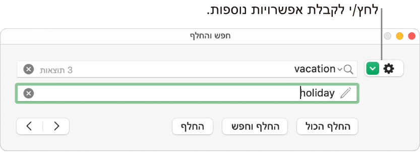 חלון ״חפש והחלף״ עם הסבר לגבי הכפתור להצגת אפשרויות נוספות.