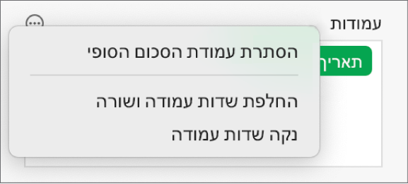 התפריט ״אפשרויות שדה נוספות״ שבו מוצגים הפקדים להסתרת הסכומים הסופיים, החלפה בין שדות העמודה והשורה וניקוי שדות.