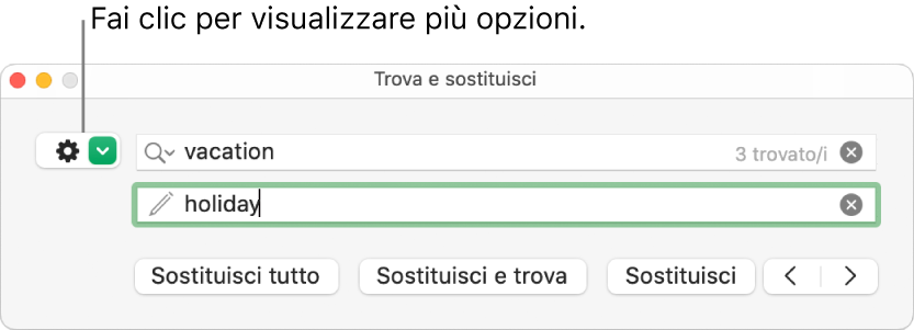 Finestra “Trova e sostituisci” con una didascalia per il pulsante che consente di visualizzare più opzioni.