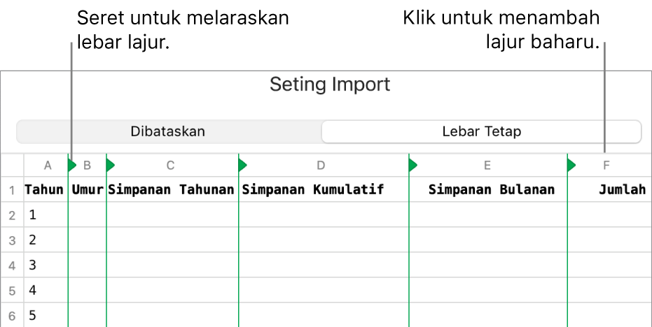 Seting import untuk fail teks lebar tetap.