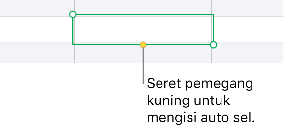 Sel yang dipilih dengan pemegang kuning yang boleh anda seret untuk mengisi auto sel.