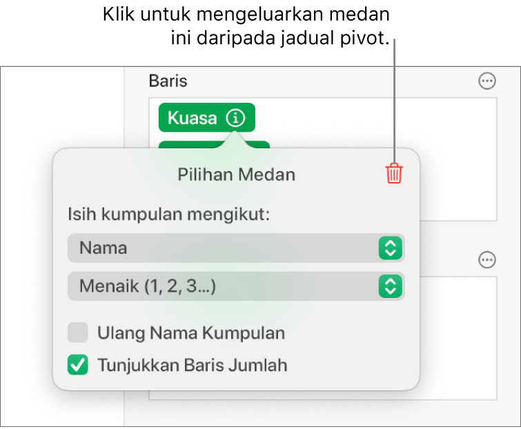 Menu Pilihan Medan, menunjukkan kawalan untuk mengumpulkan dan mengisih data, juga pilihan untuk mengeluarkan medan.