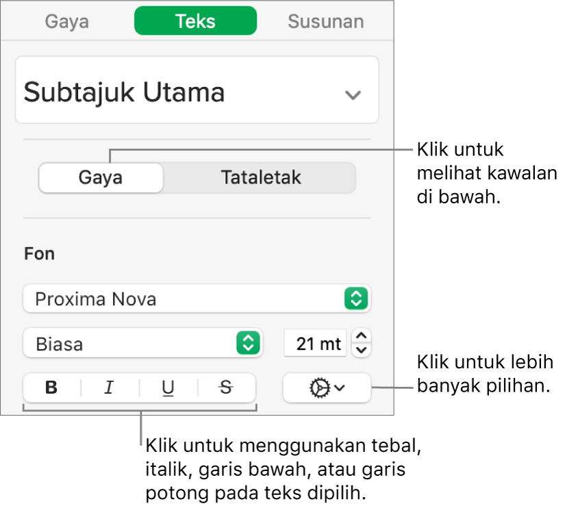 Kawalan Gaya dalam bar sisi dengan petak bual untuk butang Tebal, Italik, Garis Bawah dan Garis Potong.