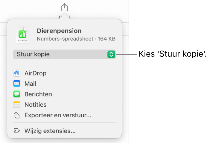 Het Deel-menu waarin bovenin 'Stuur kopie' is geselecteerd.