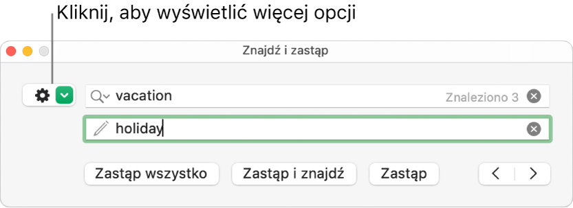 Okno Znajdź i zastąp z etykietą wskazującą przycisk pokazujący więcej opcji.