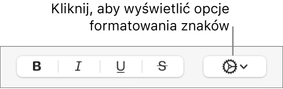 Przycisk Więcej opcji tekstu obok przycisków Pogrubienie, Podkreślenie, Kursywa i Przekreślenie.