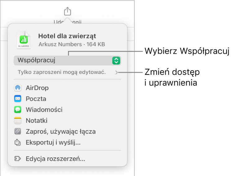 Menu udostępniania z opcją Współpracuj wybraną u góry oraz ustawieniami dostępu i uprawnień poniżej.