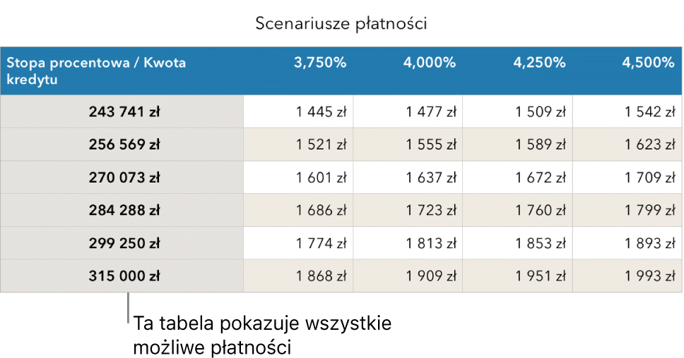 Tabela kredytu hipotecznego przed filtrowaniem w celu wyświetlenia przystępnych rat.