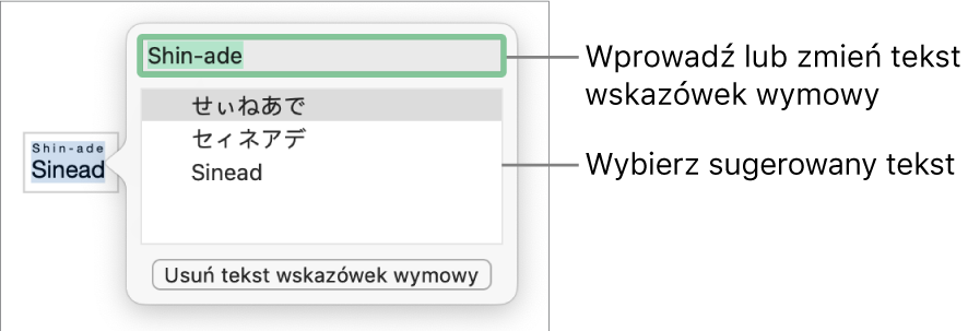 Wskazówki wymowy dla danego wyrazu. Etykiety wskazują pole tekstowe i sugerowany tekst.