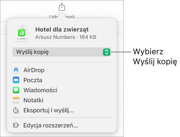 Menu udostępniania z wybraną opcją Wyślij kopię (na górze).