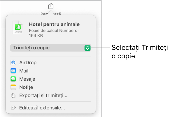 Meniul Partajează, cu opțiunea Trimite o copie selectată în partea de sus.