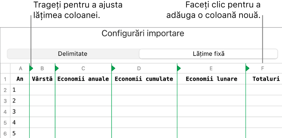 Configurările de importare pentru un fișier de text cu lățime fixă.