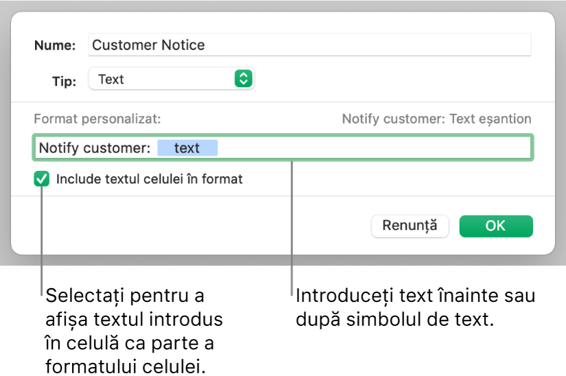 Format de text personalizat de celulă.