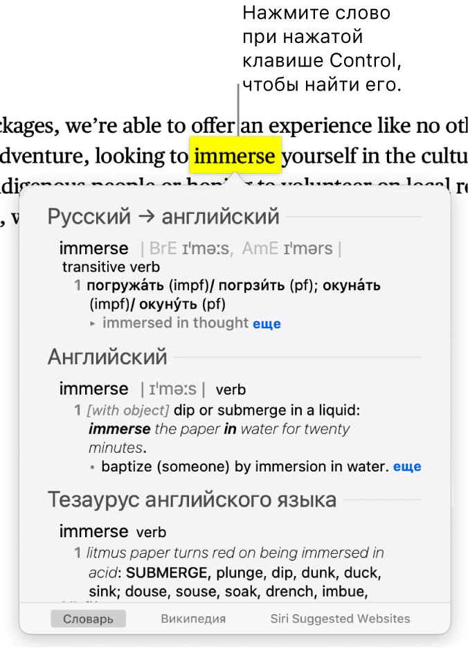 Текст с выделенным словом и окно с определением этого слова и статей из толкового словаря. Три кнопки внизу окна обеспечивают доступ к словарю, Википедии, предложенным Siri сайтам.
