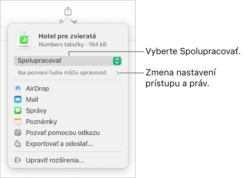 Menu Zdieľať s vybranou možnosťou Spolupracovať navrchu a pod ňou sa nachádzajú nastavenia prístupu a povolení.