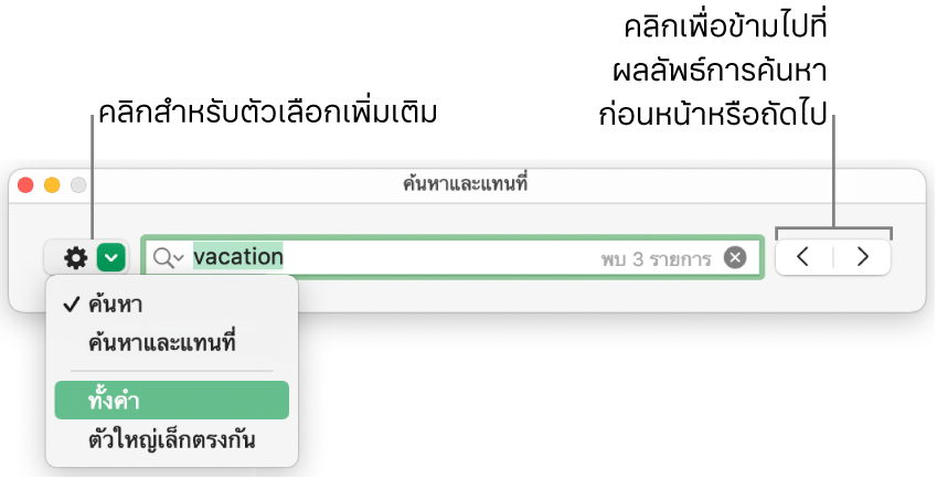 หน้าต่างค้นหาและแทนที่พร้อมเมนูที่แสดงขึ้นที่แสดงตัวเลือกสำหรับค้นหา ค้นหาและแทนที่ ทั้งคำ และตัวใหญ่เล็กตรงกัน ลูกศรด้านขวาทำให้คุณสามารถข้ามไปที่ผลการค้นหาก่อนหน้าหรือถัดไปได้