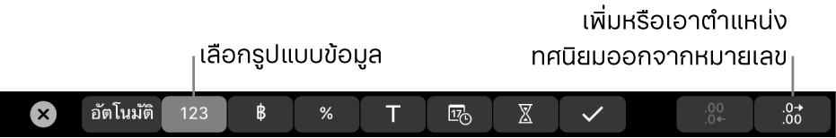 MacBook Pro Touch Bar ที่มีตัวควบคุมสำหรับเลือกข้อมูลและเพิ่มหรือเอาตำแหน่งทศนิยมออกจากหมายเลข