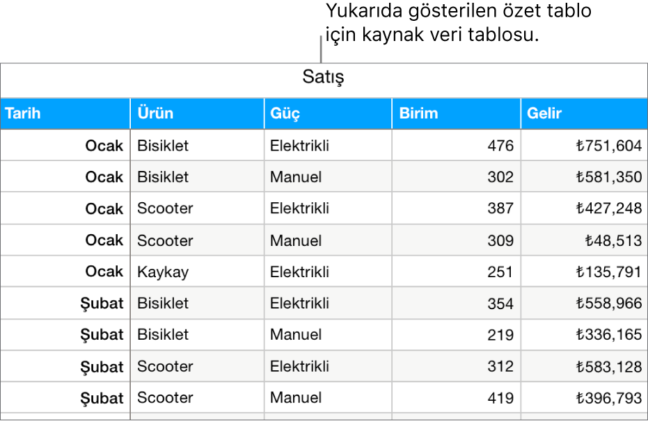 Kaynak verileri içeren bir tablo bisiklet, scooter ve kaykay için ay ve ürün türü (manuel veya elektrikli) bazında satılan birim sayısı ve geliri gösteriyor.