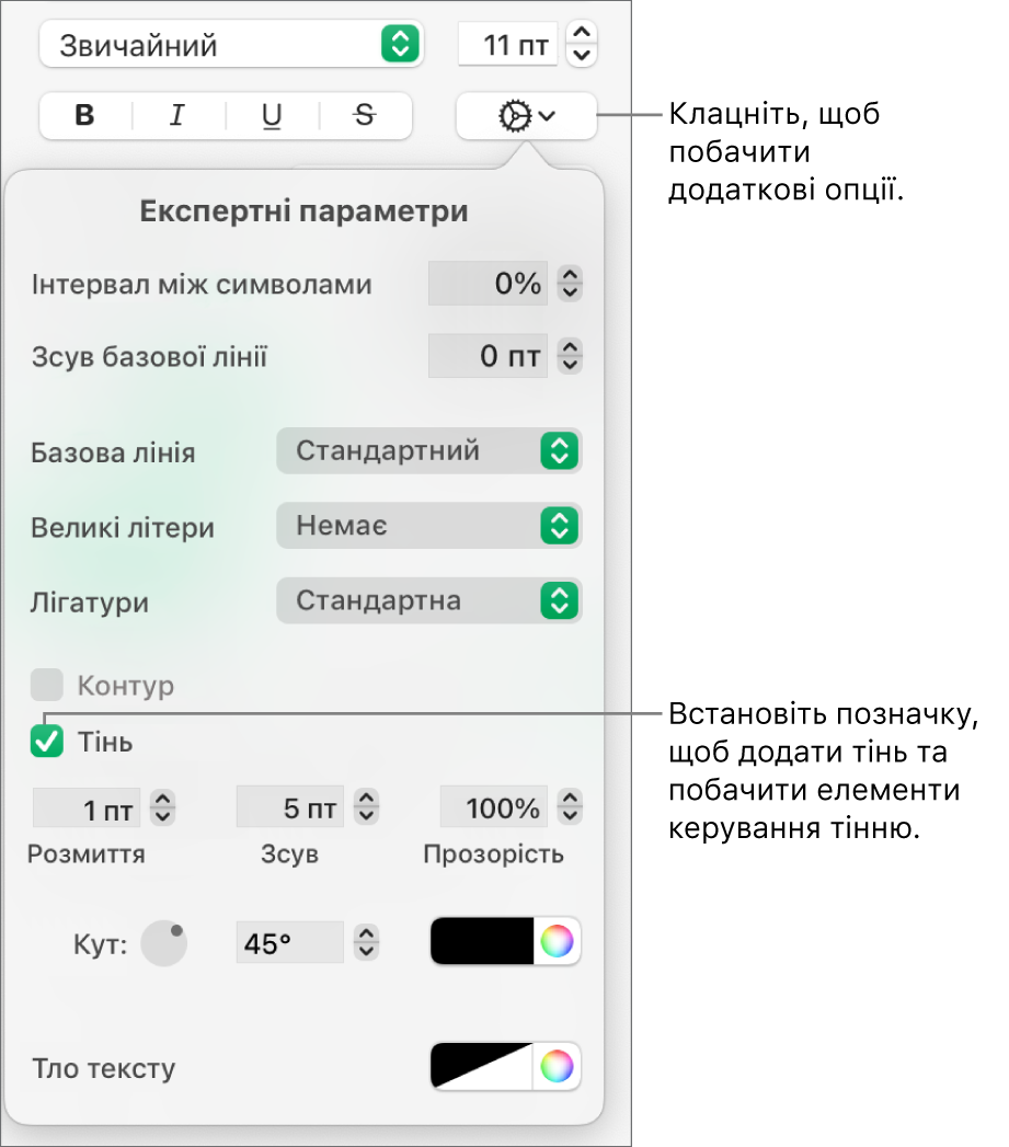 Відкривається меню «Інші опції тексту» з установленим прапорцем «Тіні» та елементами керування розмиттям, зсувом, непрозорістю, кутом і кольором.