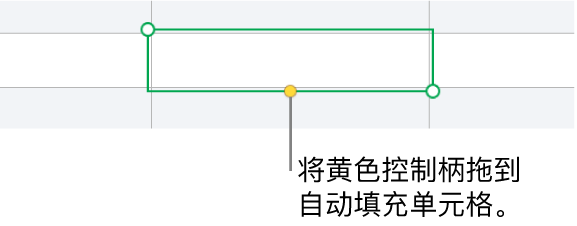 所选单元格带有黄色控制柄，可拖移以自动填充单元格。