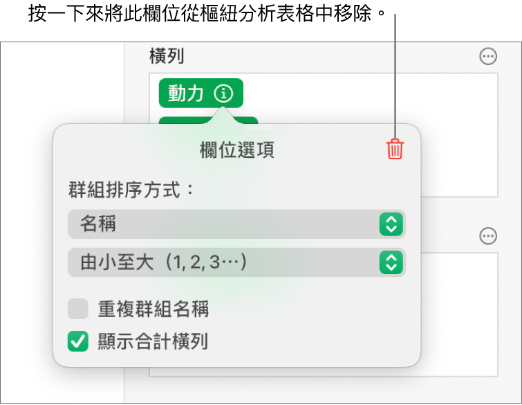 「欄位選項」選單，其顯示群組和排序資料的控制項目，以及移除欄位的選項。