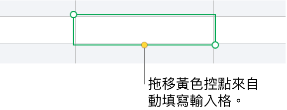 選取的輸入格帶有黃色控點，你可以拖移來自動填寫輸入格。