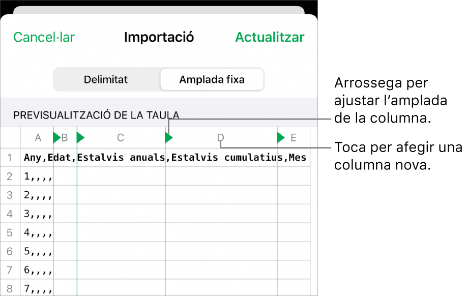 Els paràmetres d’importació d’un arxiu de text d’amplada fixa.