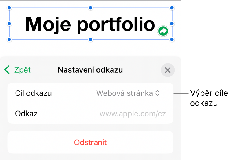 Ovládací prvky Nastavení odkazu s vybranou volbou Webová stránka a tlačítkem Odstranit v dolní části