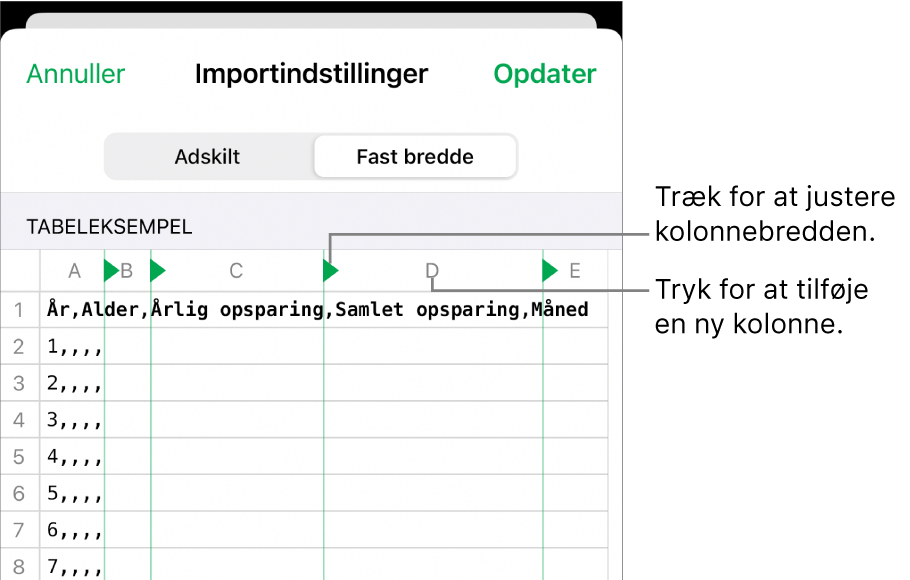 Importindstillingerne til et tekstarkiv med fast bredde.