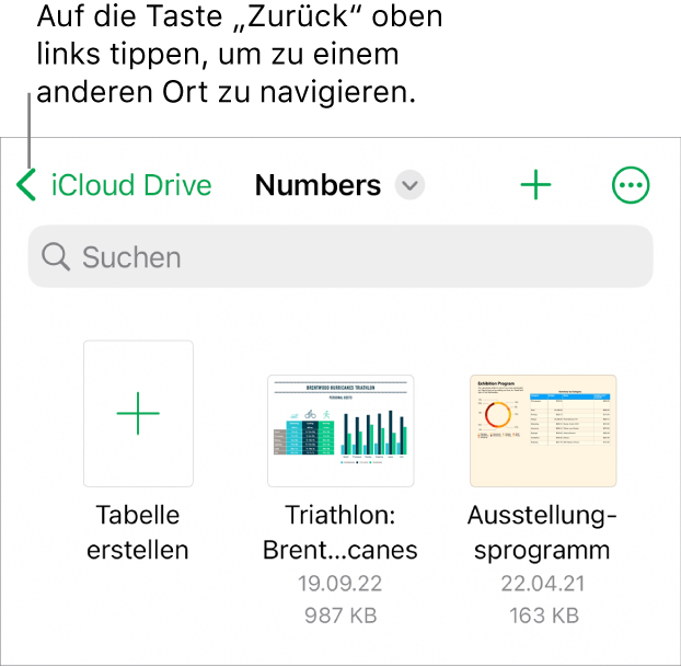 Der Tabellenkalkulationenmanager auf dem iPhone.