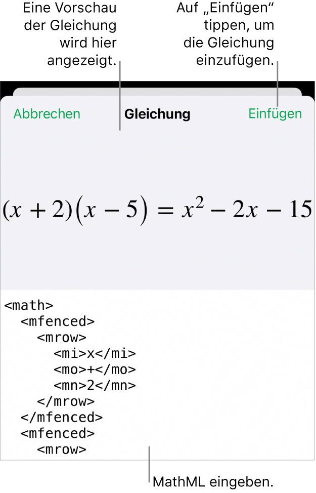 Im Dialogfenster „Gleichung“ wird eine Gleichung angezeigt, die mit MathML-Befehlen geschrieben wurde, darüber wird eine Vorschau der Formel angezeigt.