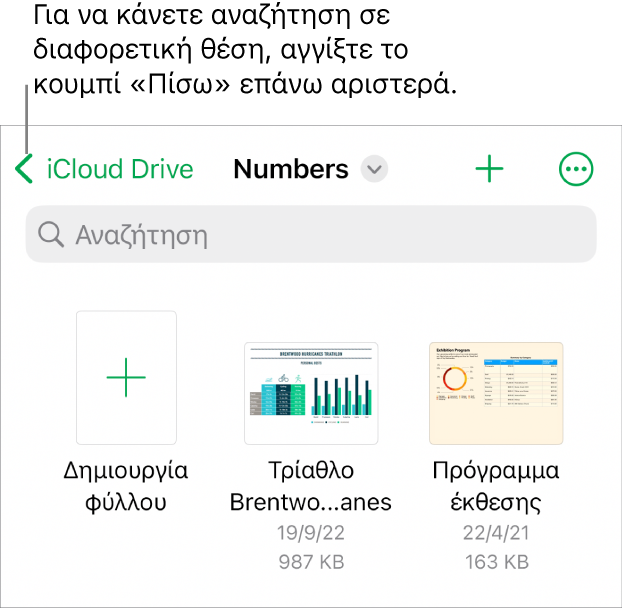 Ο διαχειριστής υπολογιστικών φύλλων για iPhone.