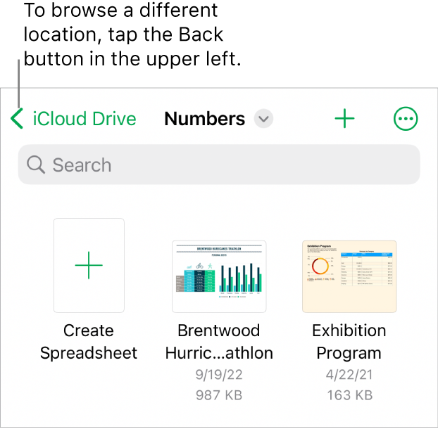 The browse view of the spreadsheet manager with a location link in the top-left corner and below it a Search field. In the top-right corner are the Add a Spreadsheet button and the More button. At the bottom of the screen are a Recents button and Browse button.