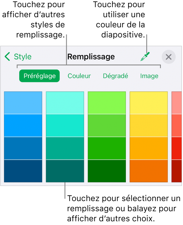 Options de remplissage de l’onglet Style du bouton Format.