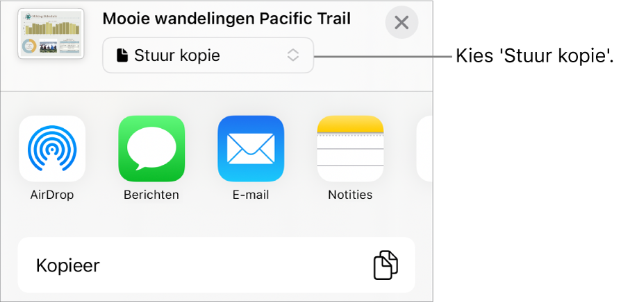Het Deel-menu waarin bovenin 'Stuur kopie' is geselecteerd.