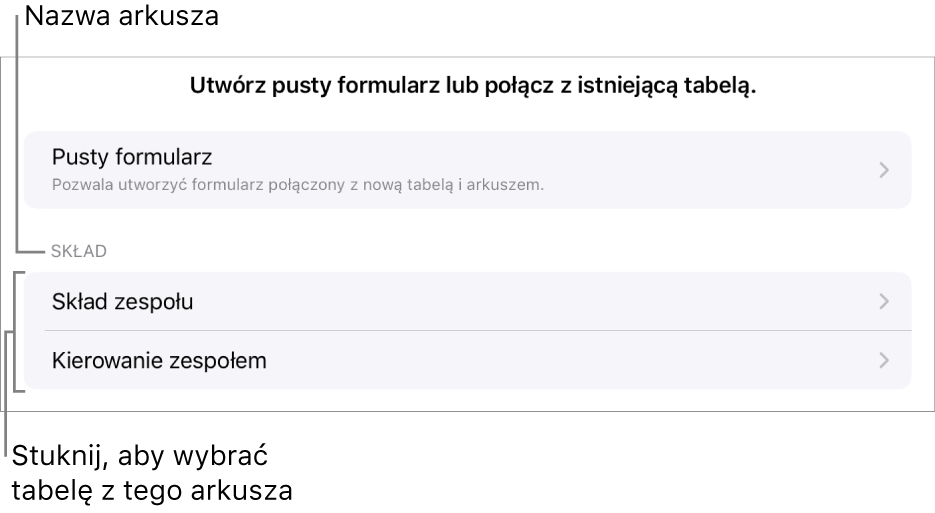 Lista tabeli w tym samym arkuszu kalkulacyjnym oraz na górze widoczna jest opcja tworzenia pustego formularza.