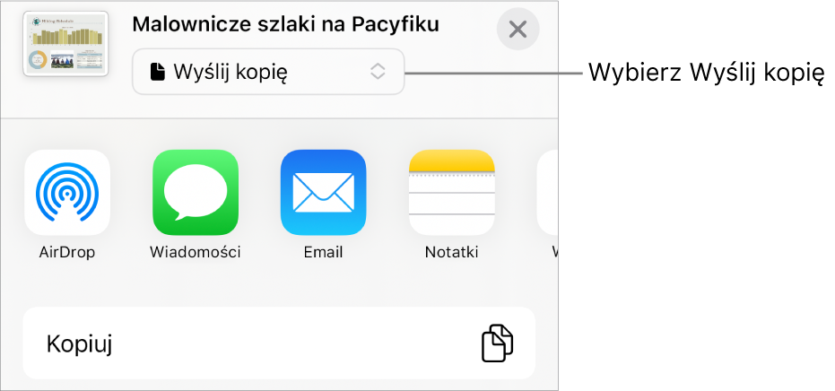 Menu udostępniania z wybraną opcją Wyślij kopię (na górze).