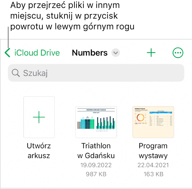 Menedżer arkuszy na iPhonie.