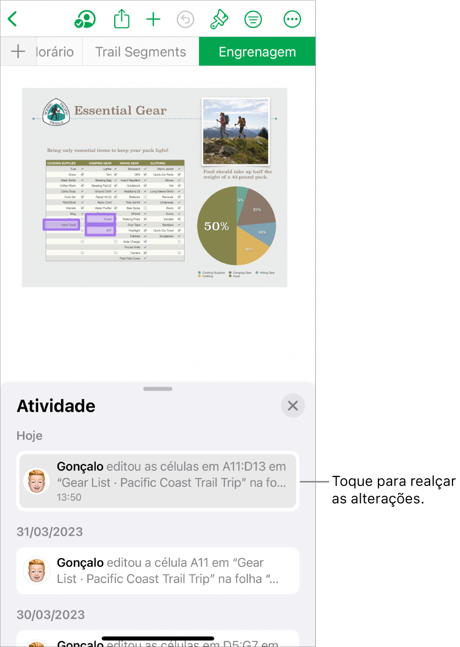 Uma folha de cálculo colaborativa com o menu de colaboração e a lista de atividade abertas.