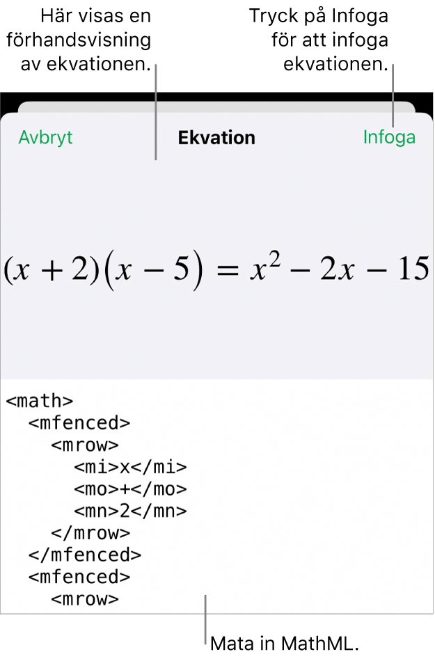 Dialogrutan Ekvation visar en ekvation som skrivits med MathML-kommandon och en förhandsvisning av formeln ovanför den.